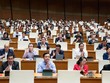 Quốc hội đã hoàn thành phần lớn nội dung của Kỳ họp thứ 10. 