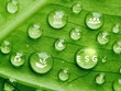 Tăng trưởng bền vững, cần đa dạng hóa Kl993 nền tảng giải trí