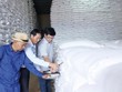 Lãnh đạo Chi cục Dự trữ 99Kl99 trực tiếp đá gà khu vực II trực tiếp kiểm tra chất lượng gạo nhập kho dự trữ quốc gia năm 2025. Ảnh: Đức Minh