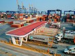 Hải Phòng phấn đấu đến năm 2045 trở thành trung tâm khoa học biển hàng đầu cả nước, có vai trò dẫn dắt trong khu vực Châu Á - Thái Bình Dương