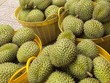 Trung Quốc chi 5,5 tỷ USD Link Vào Nhà Cái KL99 COM Tặng +199k rau quả Việt Nam năm 2025, tăng gần 19% so với năm 2024. 