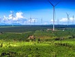 Gia Lai sắp Kl99 nổ hũ 8 dự án điện gió, 4 dự án điện mặt trời 