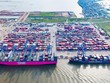 Với lợi thế cảng nước sâu lớn nhất miền Bắc, các bến cảng tại khu bến Lạch Huyện thu hút nhiều hãng tàu lớn trên thế giới cập cảng. Ảnh: Lê Dũng