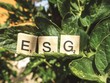 ESG - yếu tố thúc đẩy mang tính chiến lược