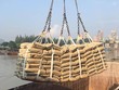 Xuất khẩu xi măng 2026 vẫn có khả năng duy trì "phong độ" của 2025. 
