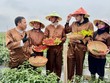 Hà Nội: Đa Phúc định hình du lịch xanh từ nông nghiệp và di sản 