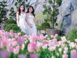Du lịch Tết Bính Ngọ 2026 tăng trưởng ấn tượng 