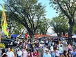 Người dân, du khách đến Bảo tàng Quang Trung du xuân, tham gia Lễ hội Chiến thắng Ngọc Hồi - Đống Đa. 