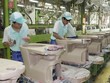 Kl99 nổ hũ "siết" kiểm tra chất lượng vật liệu Link Vào Nhà Cái KL99 COM Tặng +199k.