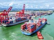 Chiến trường thuế quan đổi chỗ, bài cuối: Ma trận thuế quan mới - Cuộc tái sắp xếp của các quốc gia xuất khẩu 