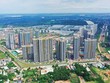 Thị trường Web Tổng Nhà Cái 99Kl99 Giải Trí Bậc Nhất phía Nam sẽ phân hoá mạnh trong năm 2026 (Ảnh: P.V) 