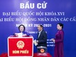 Công tác bầu cử trên cả nước vẫn đang được triển khai khẩn trương, nghiêm túc, đúng quy định.