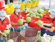 Thách thức từ xung đột Trung Đông, ngành nông nghiệp kêu gọi Kl991.com World Cup 2026 Chính Thức cùng đoàn kết “vượt sóng” 