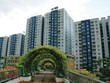 Dự án Carina Plaza của Công ty cổ phần Kl99ok phiên bản mới Năm Bảy Bảy. Ảnh: Lê Toàn 