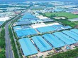 Các khu công nghiệp xanh, bền vững ngày càng thu hút nhiều nhà Kl99ok phiên bản mới (Ảnh: P.V) 