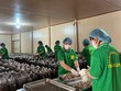 Quảng Trị hiện có nhiều chính sách hỗ trợ cho các Kl991.com World Cup 2026 Chính Thức thúc đẩy mở rộng thị trường, nâng cao năng lực cạnh tranh.
