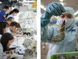 Sự phân hóa Kl99 nổ hũ trong ngành dệt may và thủy sản sẽ ngày càng rõ rệt