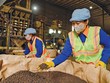 Giá nguyên vật liệu và logistics đồng loạt tăng khiến chi phí của Kl991.com World Cup 2026 Chính Thức đội lên rất nhiều (Ảnh: P.V) 