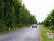 Một đoạn Quốc lộ 30 đoạn Hồng Ngự - Dinh Bà