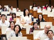 Đại biểu Trần Thị Vân tham gia thảo luận.