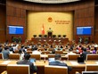 Phiên thảo luận sáng 23/4 của Quốc hội. 