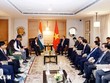 Việt Nam - Ấn Độ: Làm sâu sắc hơn trụ cột an ninh và công nghệ chiến lược 