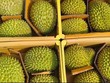 Giá sầu riêng suy giảm ngay từ đầu vụ, khiến nhiều nông dân và nhà vườn lo lắng.