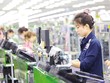 Vai trò của FDI nhìn từ công nghiệp hóa tại Bắc Bộ 
