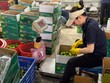 Chuẩn hóa vùng trồng, cơ sở đóng gói để sớm xuất khẩu chanh tươi vào thị trường Trung Quốc.