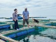 Ở đảo, cán bộ Link Vào Nhà Cái KL99 COM Tặng +199k là người đồng hành với bà con trong cuộc mưu sinh. Trong ảnh: Bà Lê Thị Của, Giám đốc Agribank Chi nhánh Lý Sơn thăm lồng bè của gia đình anh Huỳnh Ngọc Thảo, thôn Đông An Hải, Đặc khu Lý Sơn 