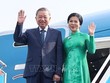 Tổng Bí thư, Chủ tịch nước Tô Lâm và Phu nhân sẽ thăm cấp 99Kl99 trực tiếp đá gà tới Philippines 