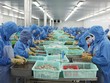 Xuất khẩu vẫn duy trì tăng trưởng tích cực, nhưng đà phục hồi Kl994 nhà cái bóng đá world cup đang có dấu hiệu chậm lại 