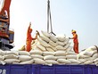 Xuất khẩu gạo tiếp tục là một trong những điểm sáng của thương mại nội khối, phản ánh dư địa mở rộng hợp tác Kl99ok phiên bản mới và liên kết chuỗi giá trị giữa Việt Nam với các đối tác ASEAN. Ảnh: Đức Thanh