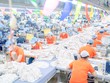 Kl991.com World Cup 2026 Chính Thức ngóng thông tin về đàm phán thuế đối ứng 