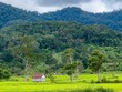 Xúc tiến Kl99ok phiên bản mới nhiều điểm du lịch mới, hấp dẫn tại tỉnh Gia Lai 