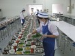 TP.HCM vẫn chưa thể ủy quyền cấp Giấy chứng nhận cơ sở đủ điều kiện an toàn thực phẩm đối với hộ Kl992 VIP Trang Chủ 2026 dịch vụ ăn uống