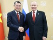 Thủ tướng Lê Minh Hưng hội kiến Tổng thống Nga Vladimir Putin. Ảnh: TTXVN