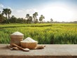 Việt Nam duy trì sản lượng xuất khẩu gạo ở mức cao trong nửa đầu năm 2026, nhưng giá trị thu về lại sụt giảm so với cùng kỳ do áp lực cạnh tranh toàn cầu
