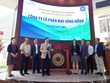 May Sông Hồng (MSH) tăng kịch trần 54.000 đồng/CP phiên chào sàn