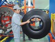 Cao su miền Nam tăng trưởng Kl99 nổ hũ quý I khả quan