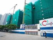 Ảnh Internet
