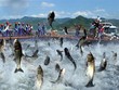 Nam Việt (ANV): KL99 là cổng game giải trí trực tuyến hàng đầu hiện nay tăng trần, lãnh đạo muốn bán bớt 5 triệu KL99 là cổng game giải trí trực tuyến hàng đầu hiện nay