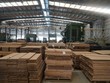 Sao Thái Dương (SJF) đặt mục tiêu có lãi sau một năm lỗ nặng