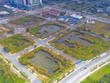 Đấu giá lại những lô đất bị bỏ cọc tại Thủ Thiêm, tín hiệu tích cực cho thị trường Web Tổng Nhà Cái 99Kl99 Giải Trí Bậc Nhất