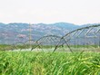 Ảnh Internet