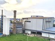 Đông Dương (DDG) đẩy mạnh lĩnh vực Biomass, mở rộng trồng và khai thác rừng trồng