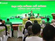 Taxi Mai Linh muốn tăng vốn thêm 1.453 tỷ đồng, sẽ đăng ký đại chúng và lên sàn 99Kl99 link đăng nhập