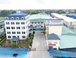 Bao bì Thuận Đức (TDP) tăng trưởng tốt nhờ thị trường nội địa
