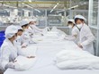 TNG ước đạt 80 tỷ đồng Kl99 nổ hũ sau thuế bán niên, tăng 25% so với cùng kỳ