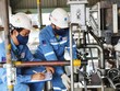 Phân bón Cà Mau (DCM) dừng nhà máy bảo dưỡng tổng thể